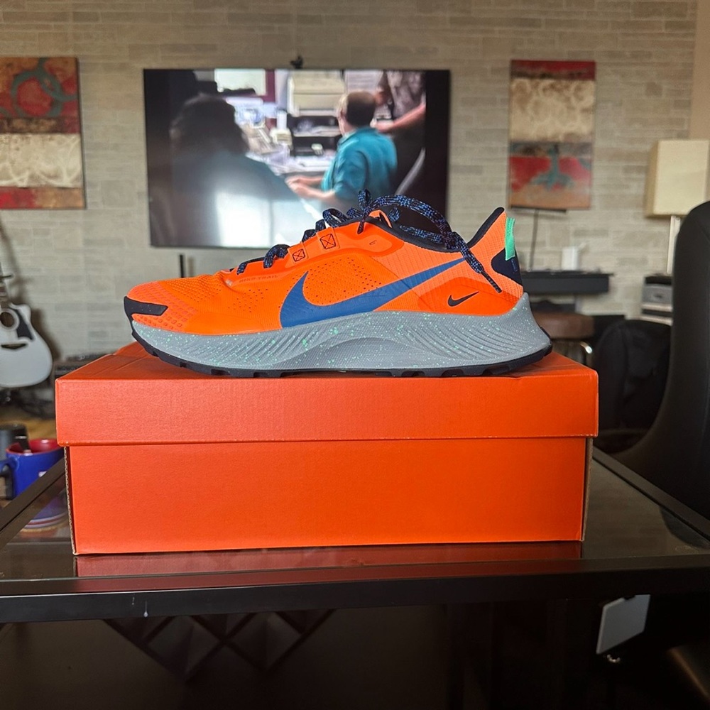 Nike Pegasus Trail 3